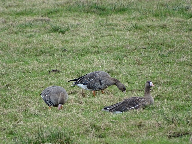 一向以其進 一向以其進