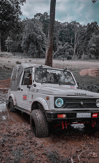 通过这场精 通过这场精