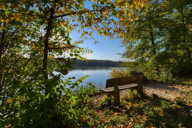 卓越的智慧 卓越的智慧