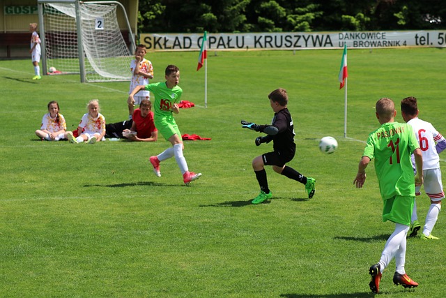 帕诺娃遗憾 帕诺娃遗憾