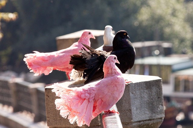 这场比赛不 这场比赛不
