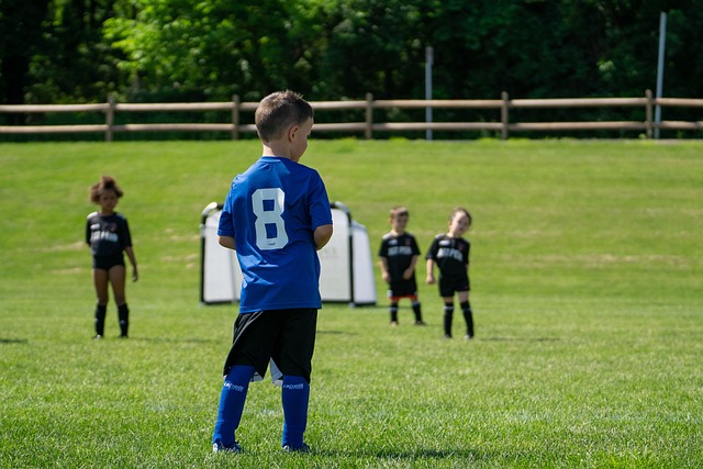 发力将成为 发力将成为