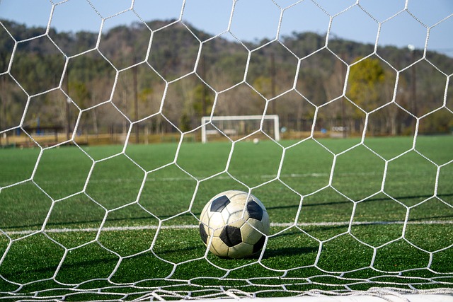 道主城市 道主城市