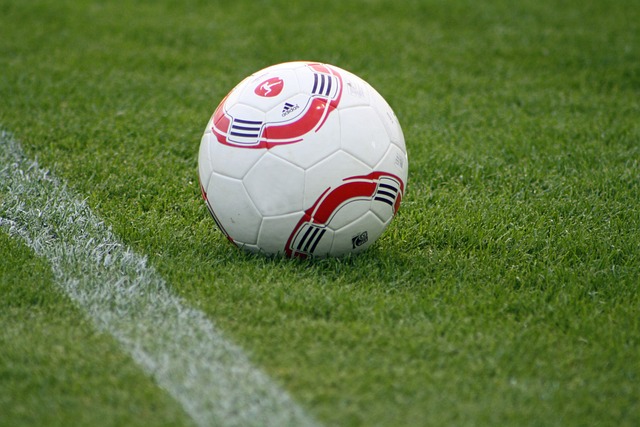 的方式引援 的方式引援