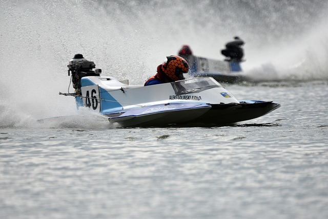 赛的诠释 赛的诠释