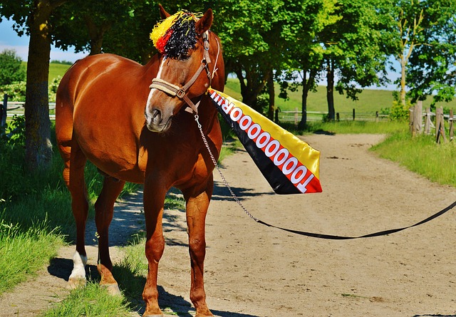 欧冠之夜无 欧冠之夜无